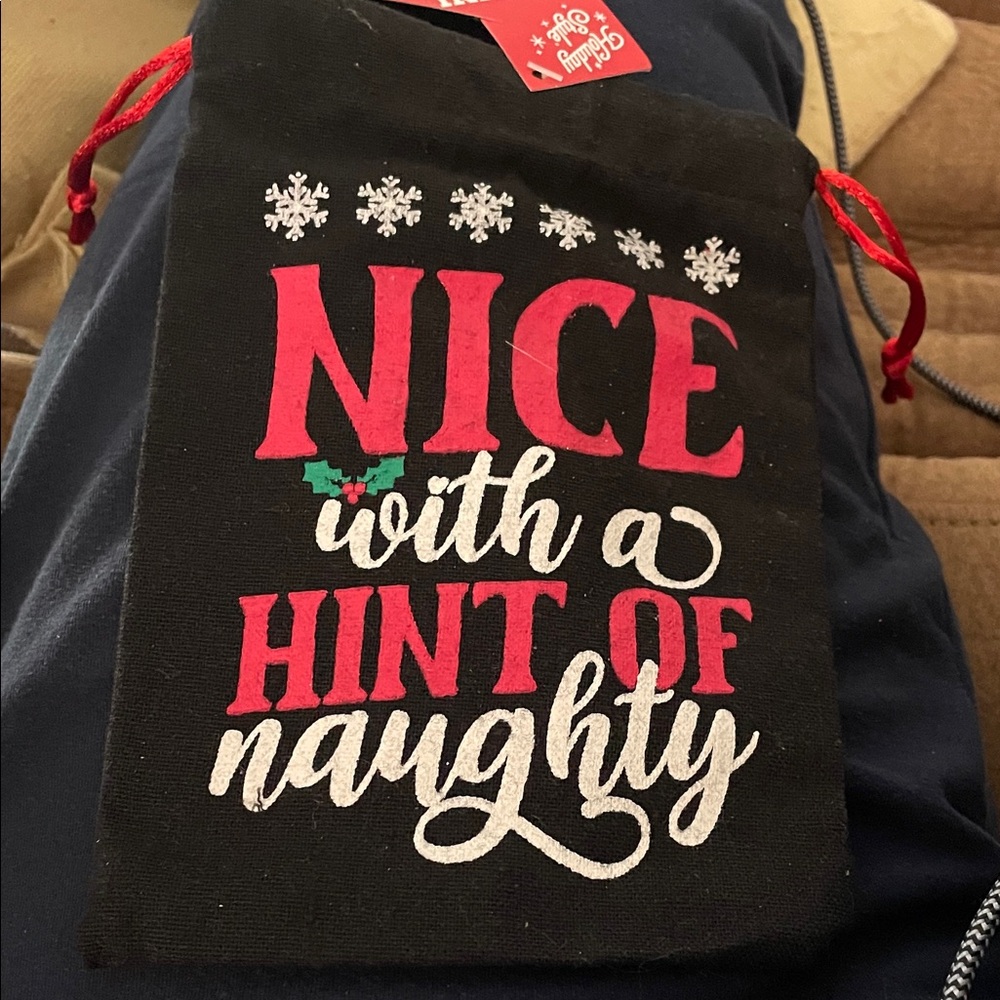 Festive “Nice with a Hint of Naughty”Gift Bag